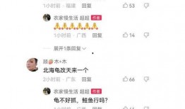 二八事件新爆料视频播放