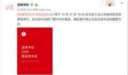 坚果加工爆料流程视频